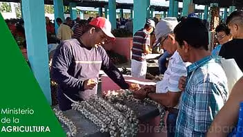 Ministerio de la AGRICULTURA