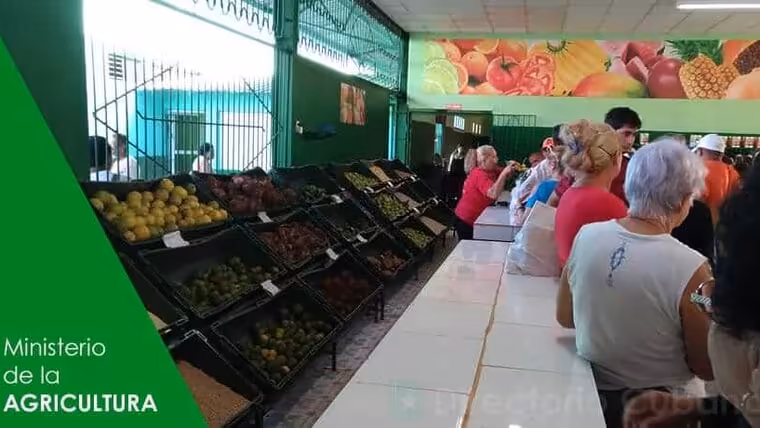 Trámites a realizar en las dependencias del Ministerio de la Agricultura