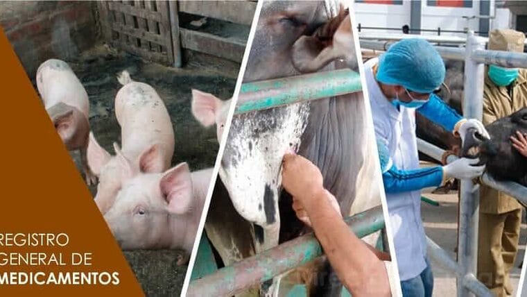 Registro de medicamentos de uso veterinario, nacionales y de importación