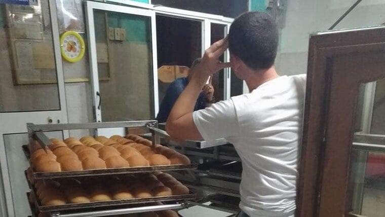 Sin pan ni gloria