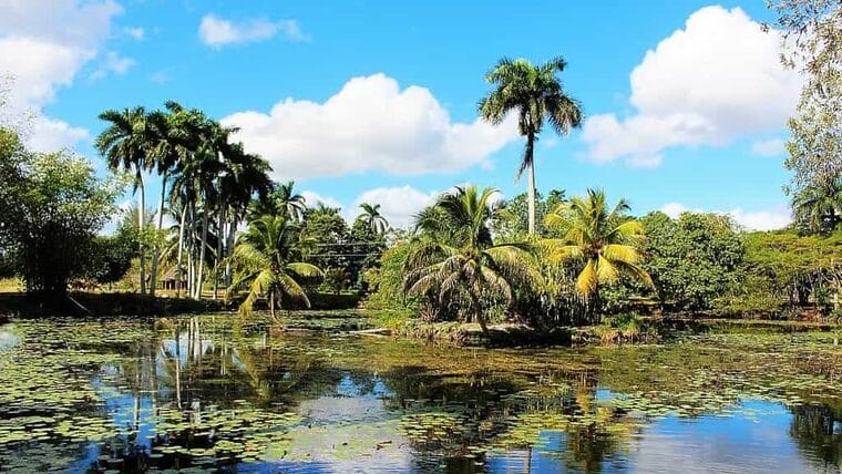 Curiosidades de la naturaleza de Cuba que no imaginas