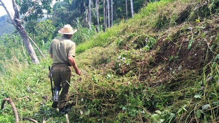 Campesinos cubanos podrán firmar contratos con empresas y tener cuentas bancarias