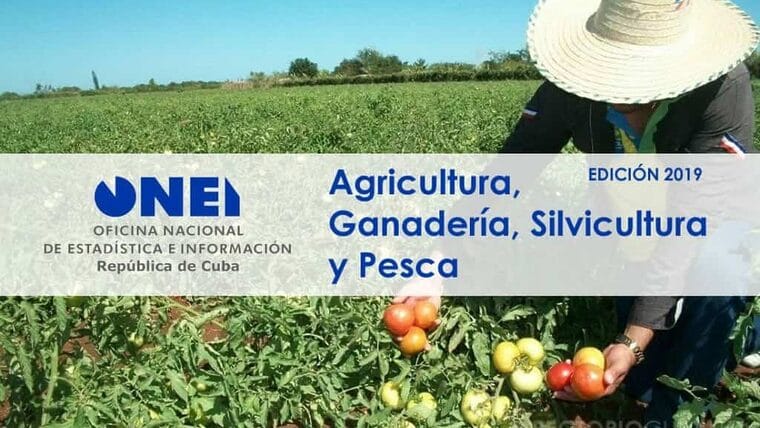 Cuba: Agricultura, Ganadería, Silvicultura y Pesca – ONEI 2019