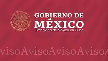 Última hora: Embajada de México en Cuba informa sobre cambios en citas