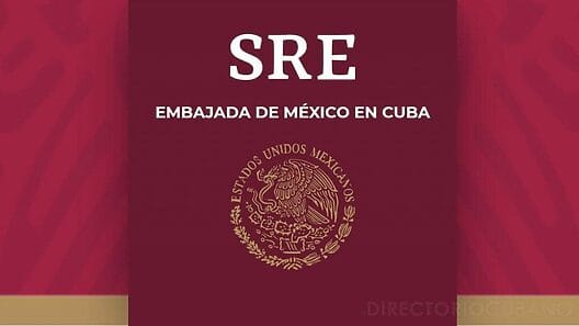 Carta abierta a la Secretaría de Relaciones Exteriores de México sobre problemas con citas en Embajada