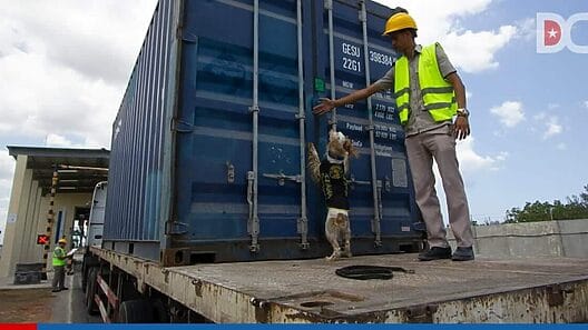 Aduana de Cuba aclara quiénes tienen derecho a importar menaje de casa