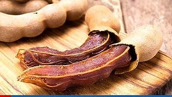 El Tamarindo: beneficios, usos y sus propiedades