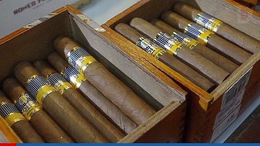 Habanos S.A. anunció ganancias históricas de $721 millones de dólares en 2023