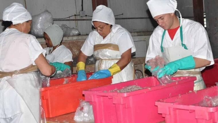 Las alternativas que propone Cuba ante la escasez de alimentos