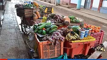¿Qué tienen los módulos agrícolas que reparte Acopio en Cuba?