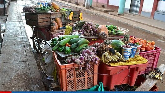 Estos son los lugares con ferias agropecuarias y venta de módulos hoy en La Habana