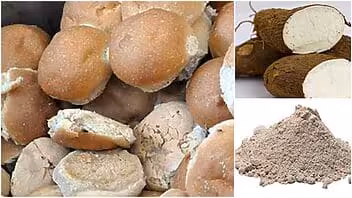 Abrirán en Cuba nueva y moderna fábrica de harina de yuca