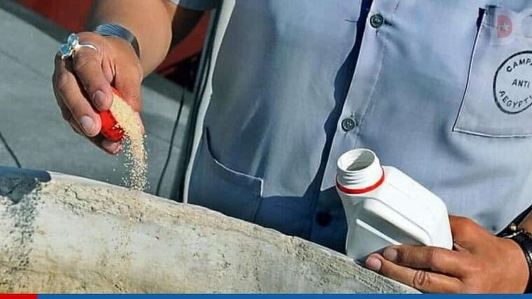 covid-19 y dengue bajo pesquisa en Cuba