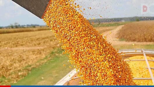 Argentina apoyará a Cuba en producción de frijol, maíz y soya
