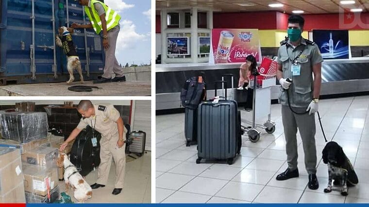 Jefe de la aduana cubana evalúa el “funcionamiento” de los perros que se emplean en la Empresa de Mensajería de Correos de Cuba