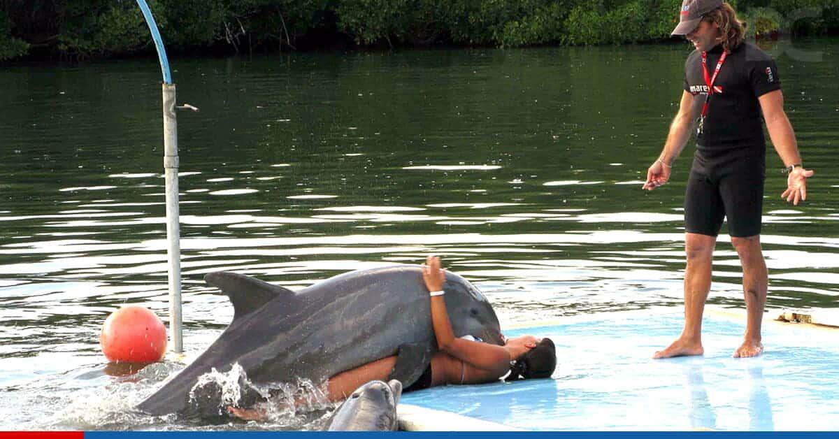 Cuba reabre delfinario de Varadero