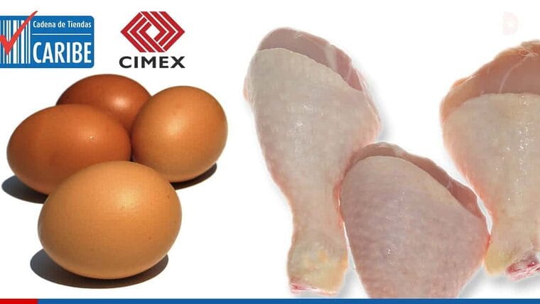 CIMEX y TRD prevén incrementar la distribución de pollo este fin de semana en La Habana. Información sobre canasta básica de julio