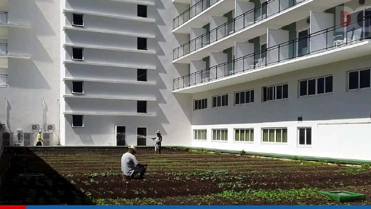 Hoteles en Varadero siembran alimentos para autoconsumo