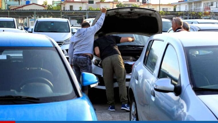 Actualización sobre trámites de Licencia de Conducción y Registro de Vehículos