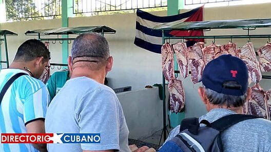 Así ha disminuido la producción de alimentos en Cuba
