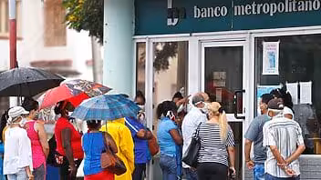 ABC de los créditos bancarios para productores agropecuarios en Cuba