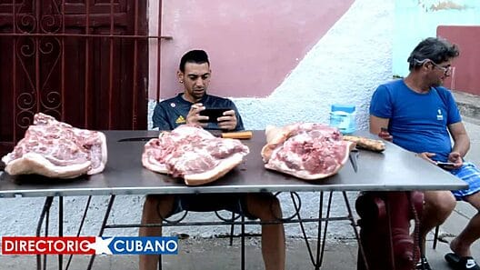 Cayó la producción de carne de cerdo en Cuba más de un 50% en 2021