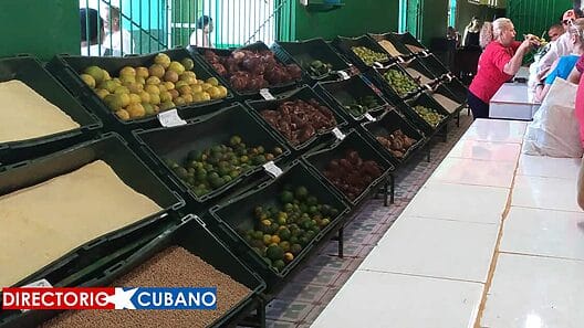 Tope de precios a estos productos en mercados agropecuarios en Cuba