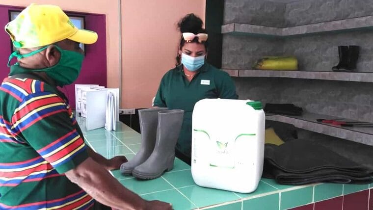 Campesinos en Cuba: botas, machetes y fertilizantes en MLC