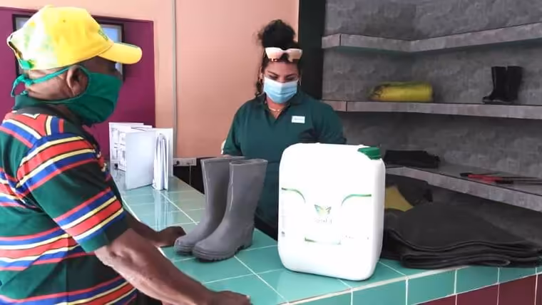 Campesinos en Cuba: botas, machetes y fertilizantes en MLC