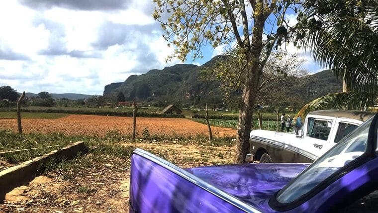 Viñales sin Turismo: sus habitantes vuelven a la agricultura
