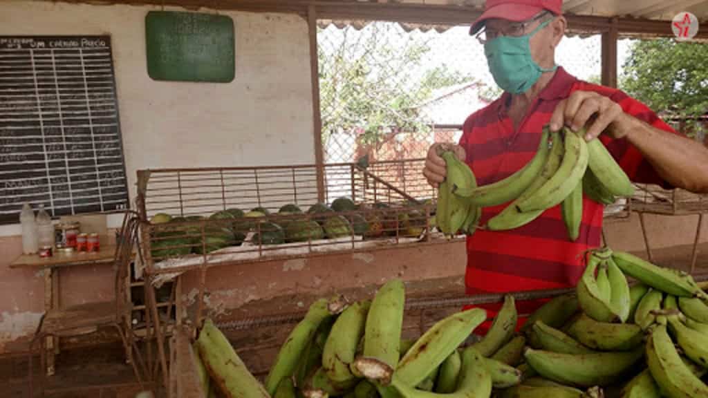Así están hoy los precios de los alimentos en Cuba
