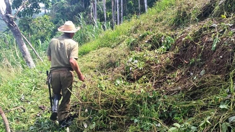Productores agropecuarios y campesinos logran que gobierno cubano ajuste tarifas de agua y luz