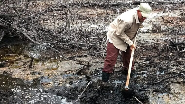 Cuba invertirá millones de dólares en preservar manglares y arrecifes