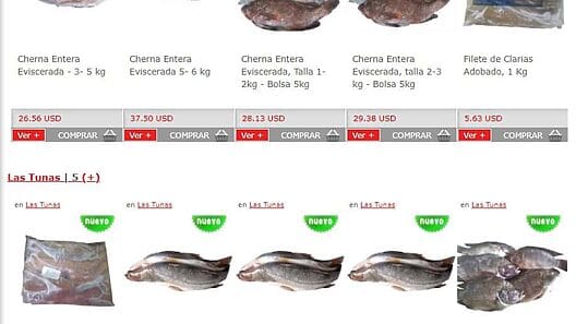 Viral en Cuba: viceministro propone criar peces en las casas (+ video)