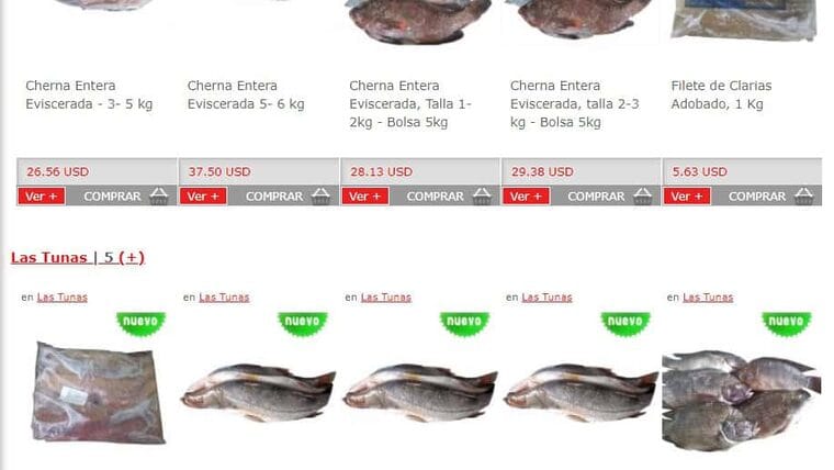 Viral en Cuba: viceministro propone criar peces en las casas (+ video)