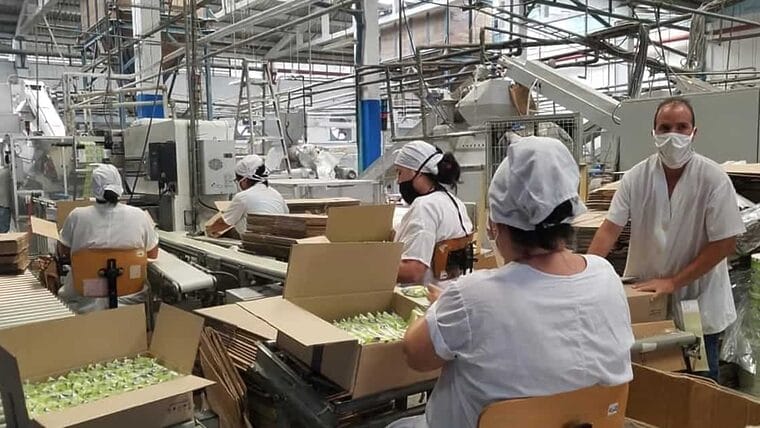 Suchel suma más productos para venta en tiendas MLC