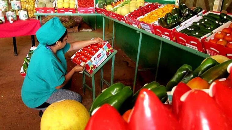 Aprueban en Cuba creación de micro, pequeñas y medianas empresas
