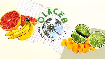 Reabre tienda online para compras de alimentos en Cuba