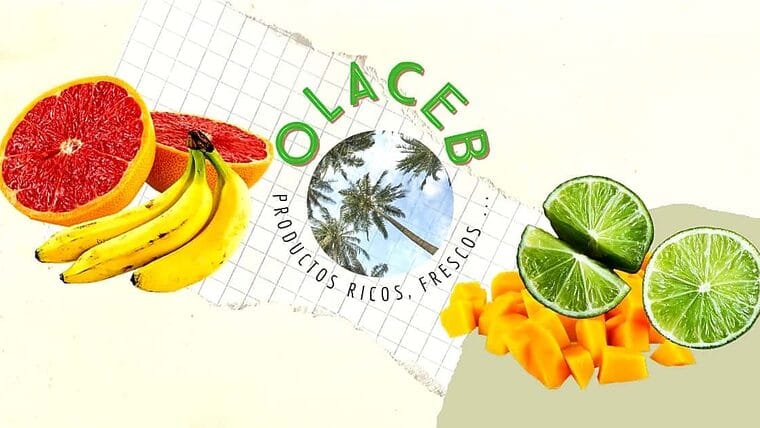 Reabre tienda online para compras de alimentos en Cuba