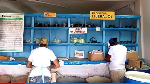¿Qué pasa con los productos de la canasta básica en Cuba? Aumenta el malestar por la falta de alimentos