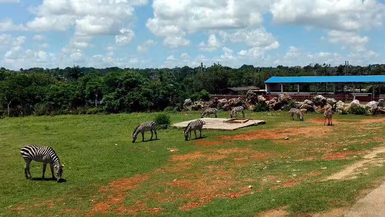 Reabren Zoológicos y Acuario Nacional de La Habana
