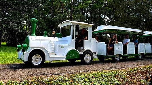 Picnics, pasadías y comida para llevar: ofertas de Jardín Botánico Nacional de Cuba en su reapertura