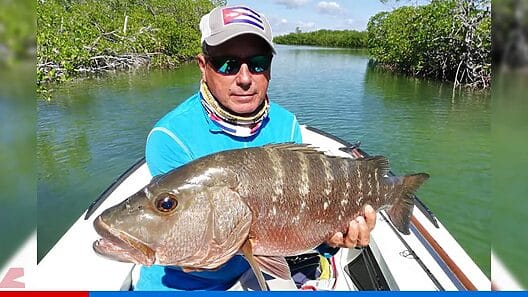Desarrollan en Cuba torneo internacional de pesca deportiva 