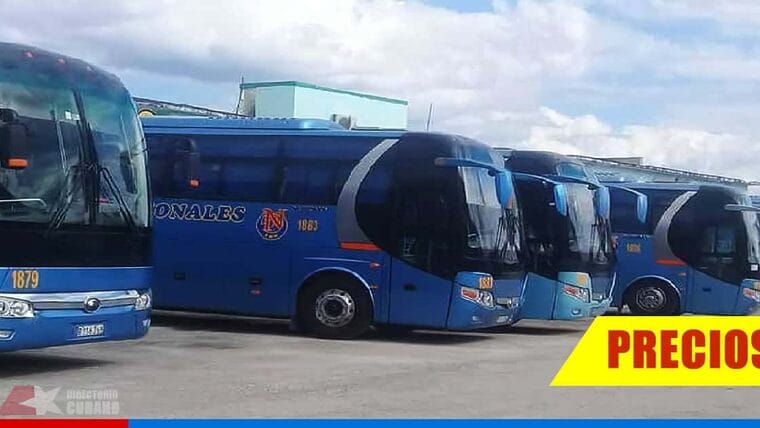 Arranca el Transporte Nacional: ¿Cómo están los precios?