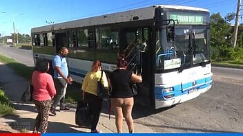 Odisea diaria para los cubanos: gobierno confirma que el transporte público se hunde con la crisis