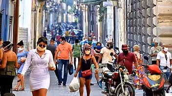 Asignación de productos en La Habana por fin de año