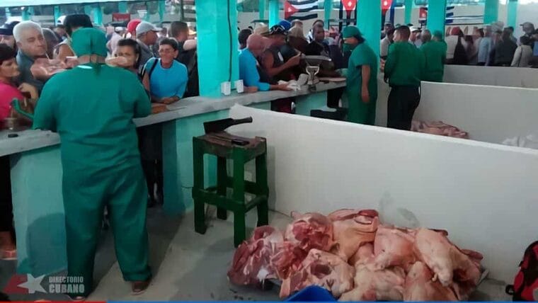 Venderán gran variedad de carnes en feria agropecuarias de fin de año en Villa Clara