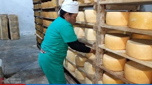 Otro producto nacional en moneda libremente convertible (MLC): el queso