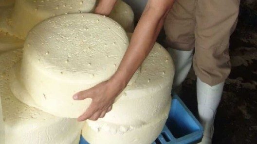 Bajarán el precio del queso en Sancti Spíritus