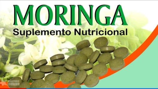 Cuba acude a la exportación de moringa